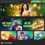 Giới thiệu tổng quan về DOM88