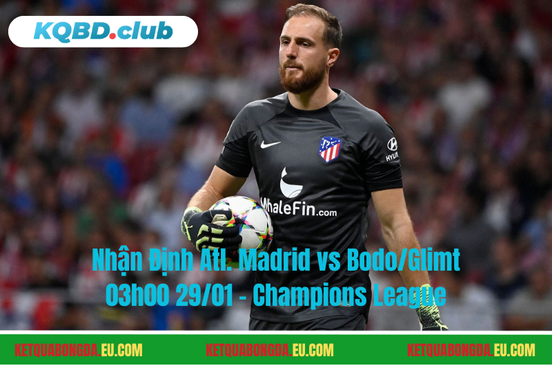 Đội hình dự kiến trước trận Atl. Madrid vs Bodo/Glimt Đội hình dự kiến trước trận Atl. Madrid vs Bodo/Glimt