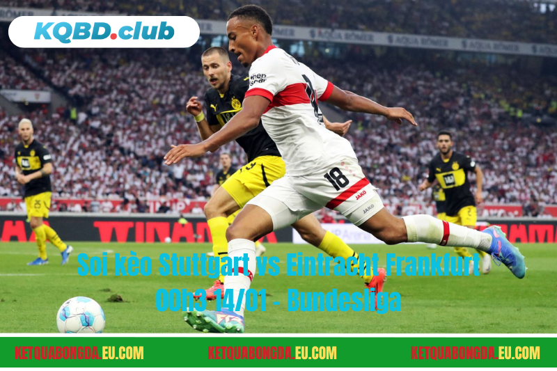 Đội hình dự kiến trước trận Stuttgart vs Eintracht Frankfurt